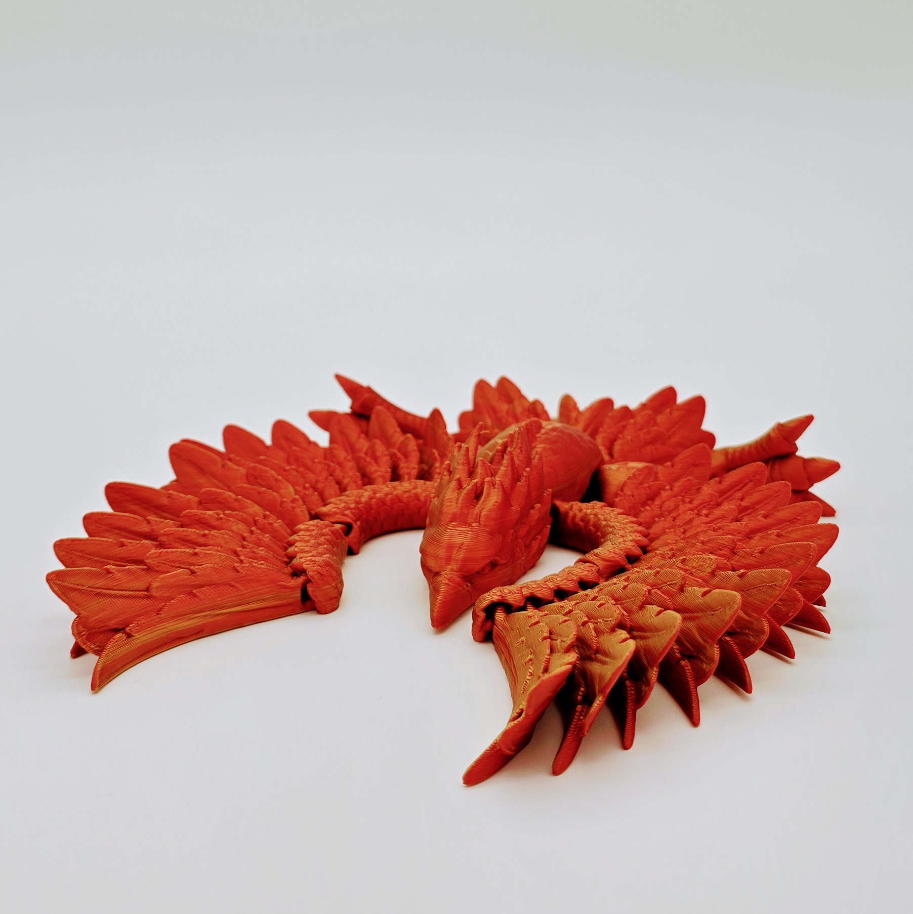 Phönix Flexi Ansicht 8